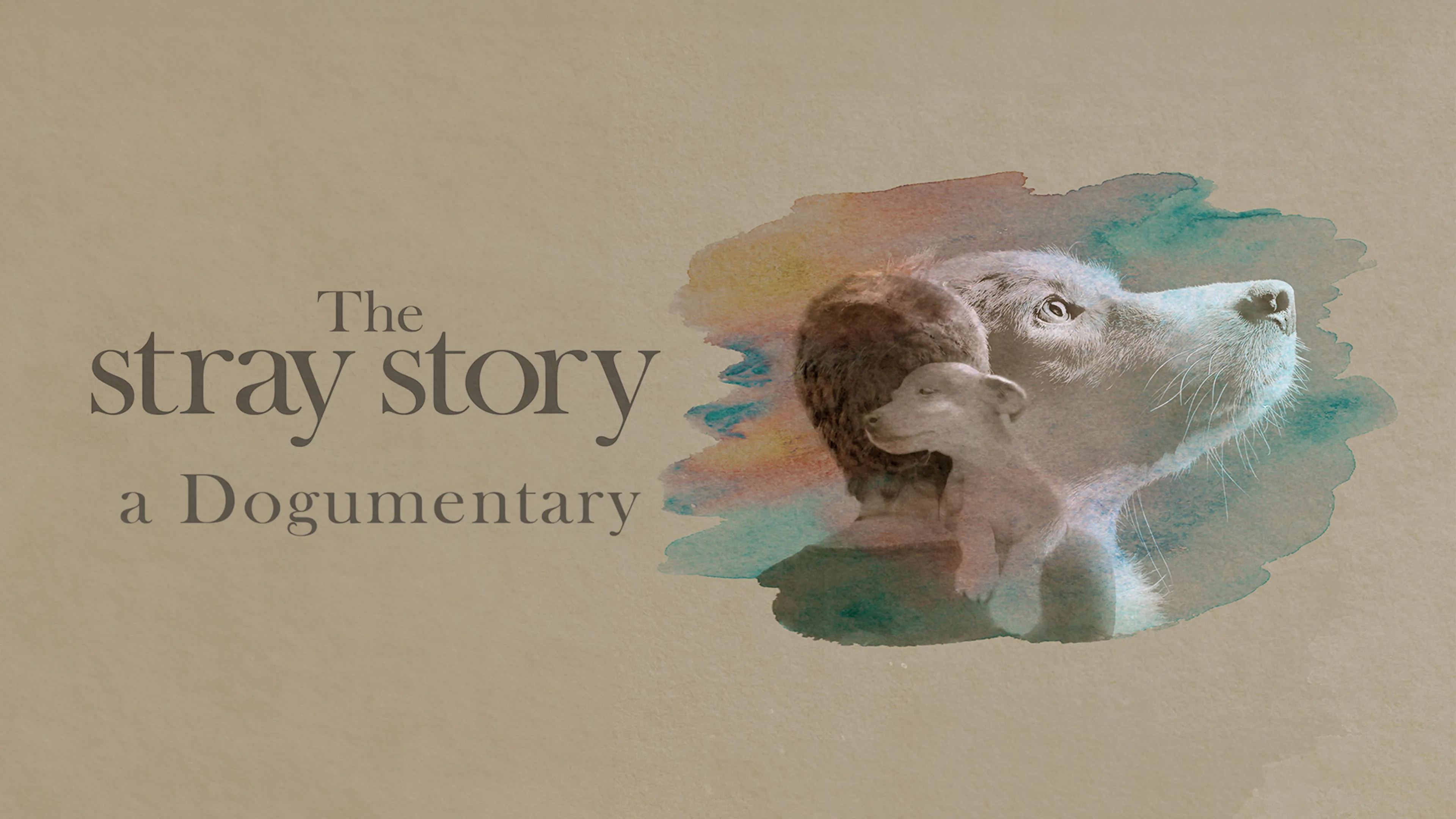 The Stray Story: A Dogumentary poster
